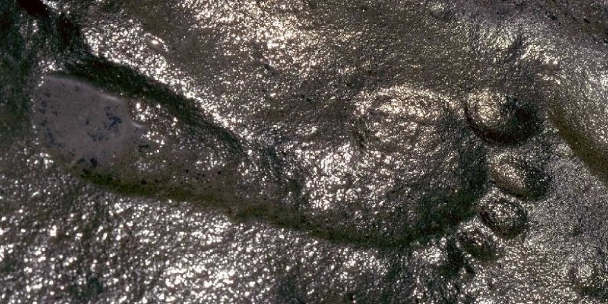 The Zapata Footprint: A 290-Million-Year-Old Claim That Doesn't Add Up